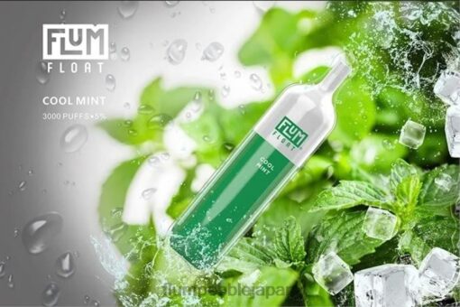 FLUM FLOAT 3000パフ クールミント:2025年の日本電子タバコ市場をリードする存在