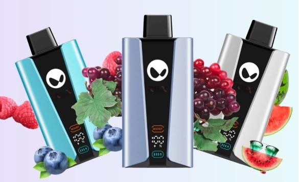 RELX WAKA SoPro 28000 Puffs Vape - いちごぶどう：日本のベイピングシーンを彩る爽やかな革命