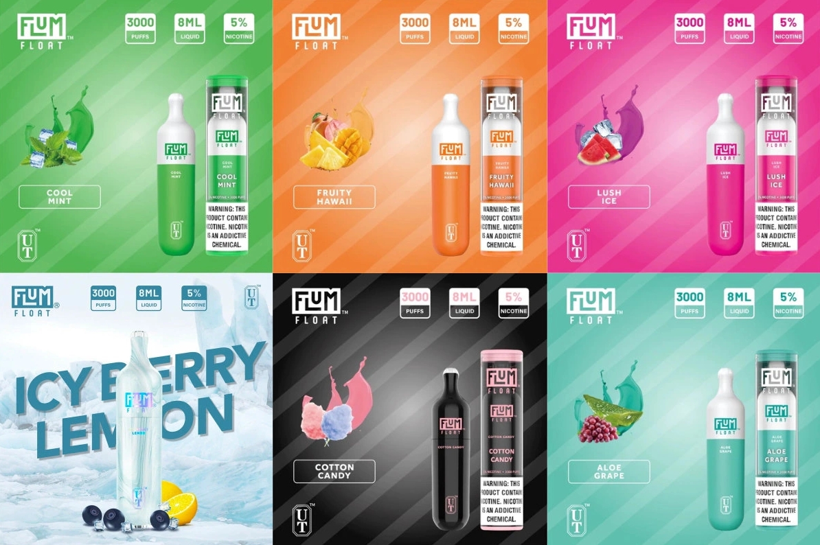 FLUM FLOAT 3000 Puffs Vape - 豊かな氷：清涼感と美しさを極めた新世代の一服体験